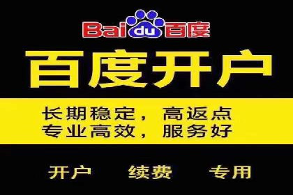 百度SEO推广案例：实战解析与优化建议